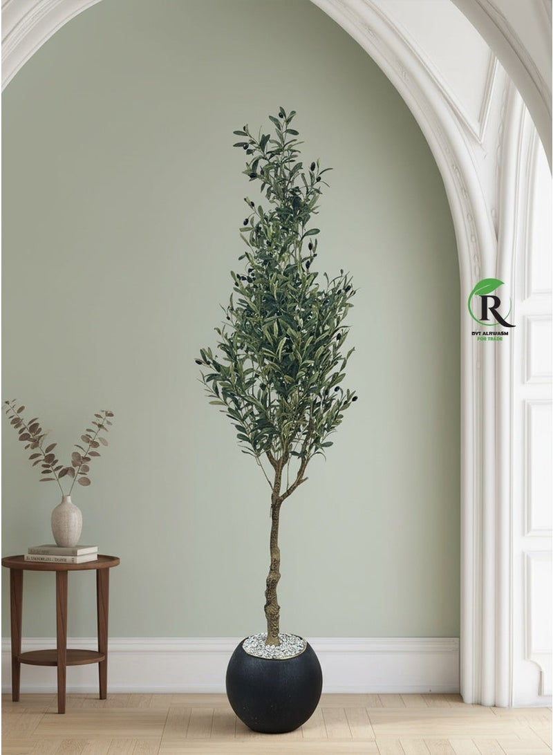 بيت الرواسم شجر زيتون مثمر مع اصيص اسود كبير بتصميم جذاب  اجعل منزلك اكثر اناقة 220 سم - Image 1