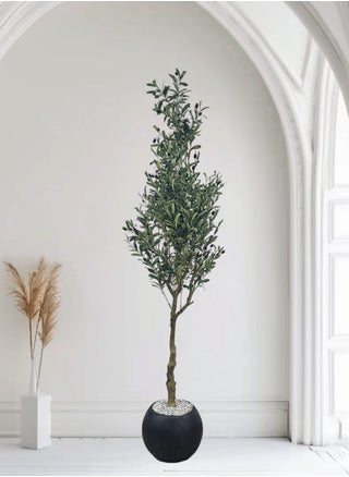 Fruitful olive tree with a large black pot with an attractive design, make your home more elegant, 220 cm - pzsku/Z10104D39FCDF9AAC8A74Z/45/_/1740482845/08a0b8e5-013c-43e3-a676-5b11ee374c5c