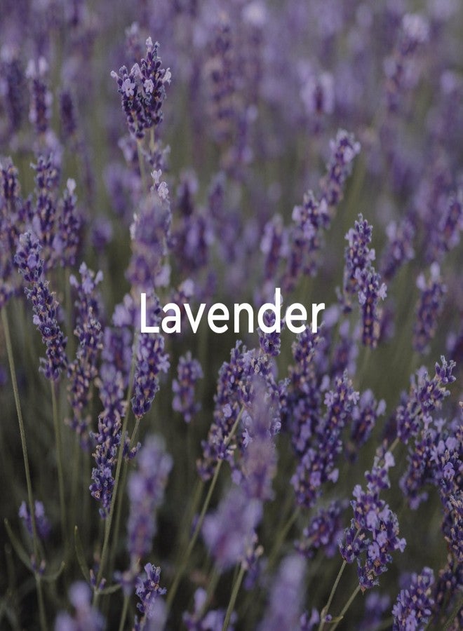 Kneipp Relaxing Lavender Aromatherapy Bubble Bath - Good for Relaxation - Vegan - 13.5 fl oz - Up to Eight Baths - Image 5