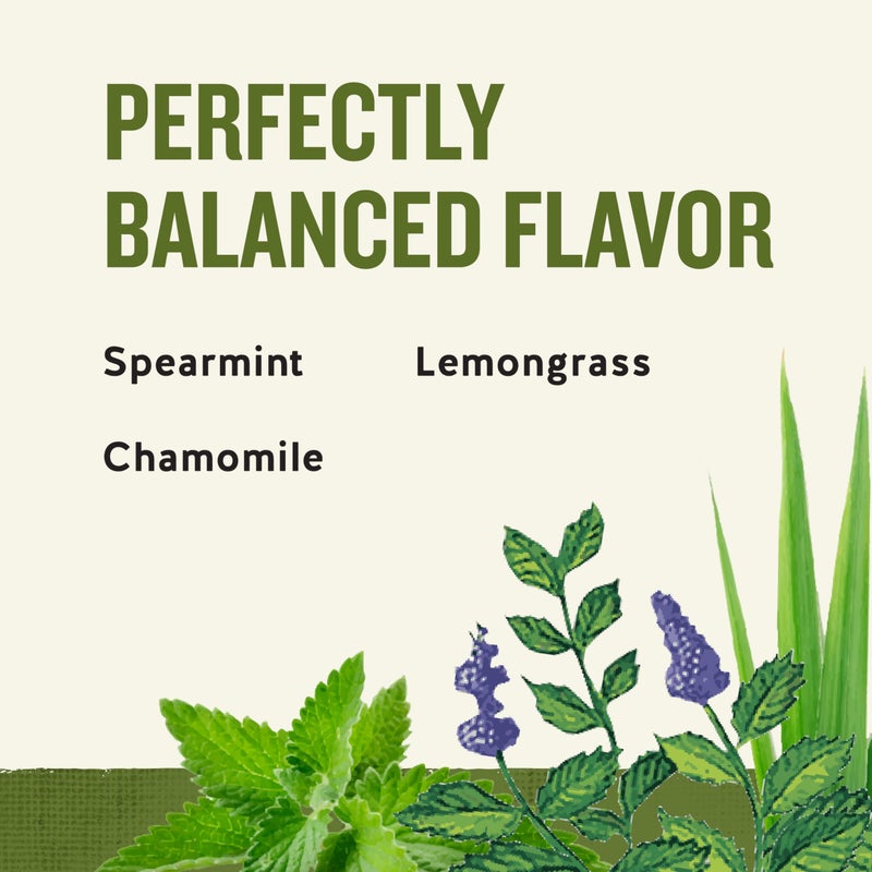 Celestial Seasonings Sleepytime Herbal Tea, Caffeine Free, 20 Tea Bags Box (Pack of 6) - Image 3