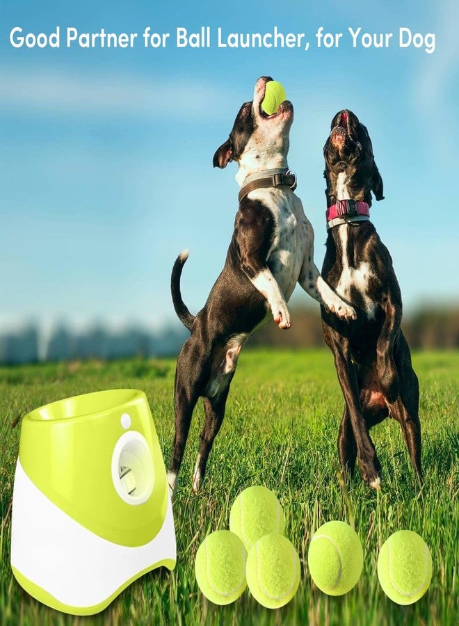ZIYIZE Mini Tennis Balls, 15 Pack 2 inch Dog Tennis Balls, Easy Catching Pet Playing Ball for 2 inch Dog Ball Launcher - Image 3