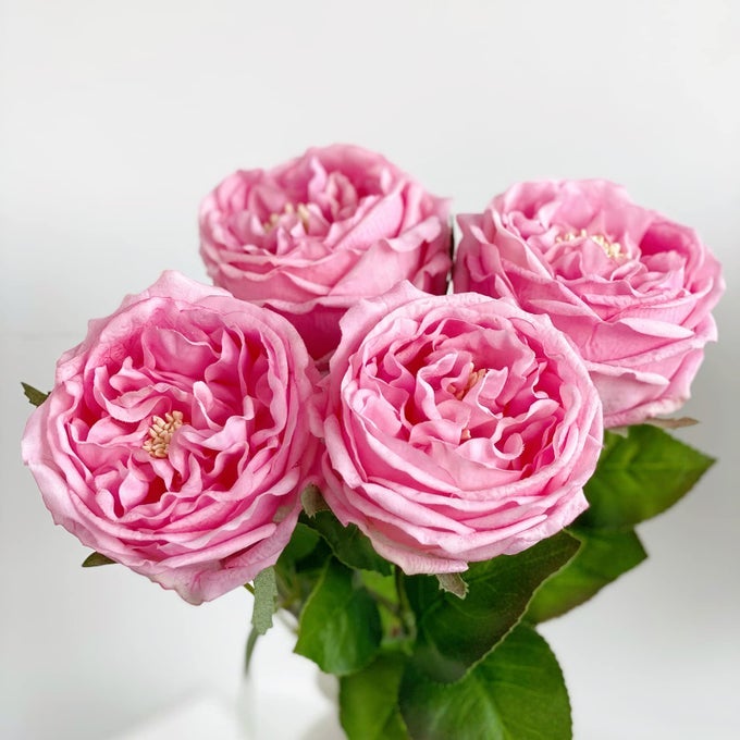 35 BIG BLOOM ROSE ARTIFICIAL FLOWERS PINK 4PCS REAL TOUCH ROSE FAUX 177 INCH LONG STEM AUSTEN ROSES PEONIES FAKE FLOWERS FOR HOME KITCHEN PARTY CHRISTMAS FLOWER WEDDING DECOR