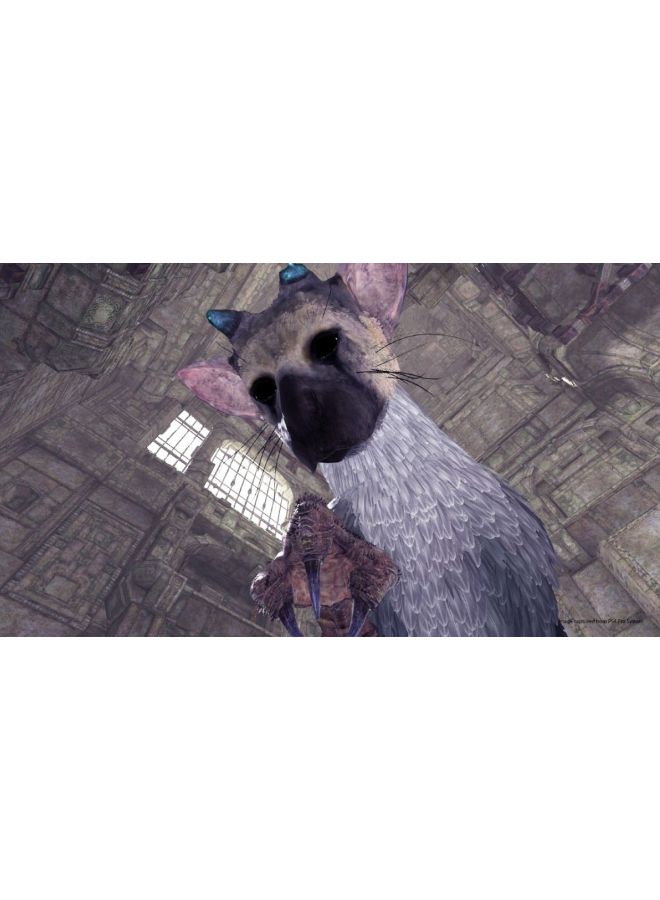 سوني لعبة "The Last Guardian" (إصدار عالمي) - مغامرة - playstation_4_ps4 - Image 2