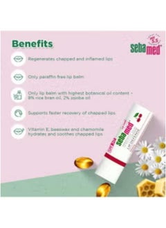 Sebamed Lip Defense Cherry ,SPF 30, Lip Balm Care For Sensitive Skin  - Image 3