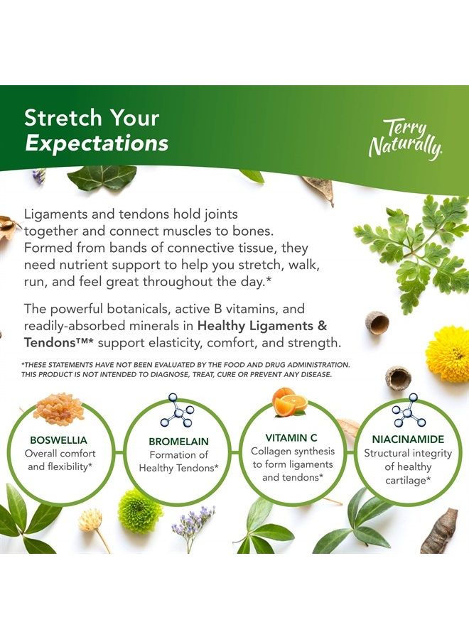 Terry Naturally Healthy Ligaments & Tendons - 60 Vegan Capsules - Elasticity & Strength Support Supplement, Promotes Collagen Production - Non-GMO, Gluten-Free - 30 Servings - Image 2