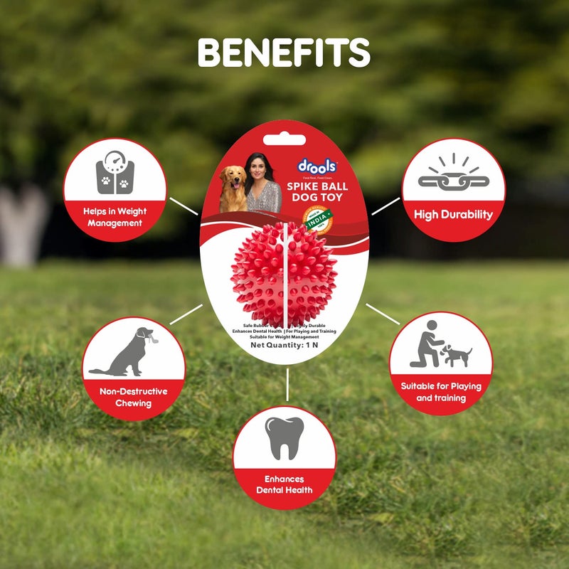 Drools Non-Toxic Rubber Toy for Dogs Hard Ball (Medium) 7.6 cm Pack | Non Destructive Chewing | Enhance Dental Health | High Durability | Helps in Weight Management - Image 5