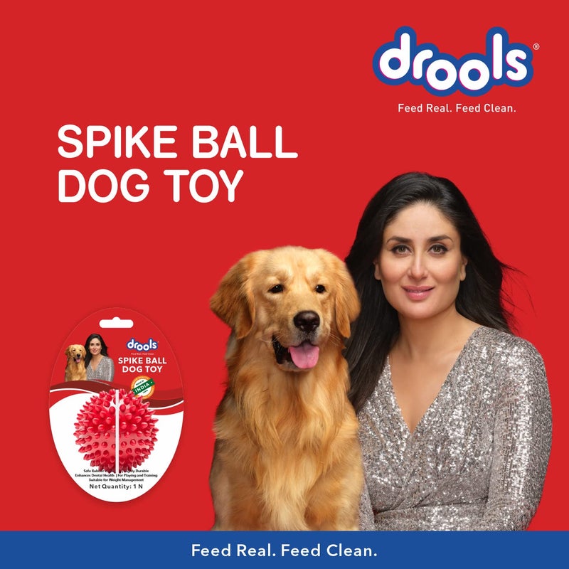 Drools Non-Toxic Rubber Toy for Dogs Hard Ball (Medium) 7.6 cm Pack | Non Destructive Chewing | Enhance Dental Health | High Durability | Helps in Weight Management - Image 3