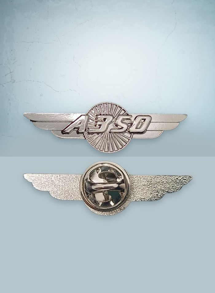 Fighter Gifts A350 Silver Wings Pin