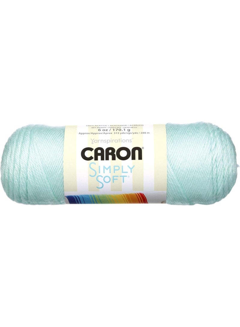 CARON Simply Soft Premium Acrylic Yarn – Soft Green (170g/6oz) – Medium 4 Gauge – Soft, Lustrous Yarn for Knitting and Crochet - Image 1