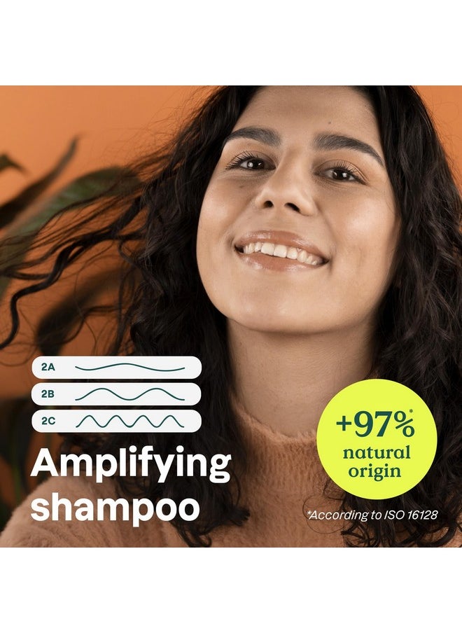 Attitude - ATTITUDE Amplifying Shampoo for Curly Hair with Coconut Oil, EWG Verified, Vegan and Naturally Derived Ingredients, 2a, 2b, 2c Curl Type, Gives body to Curls, 16 Fl Oz - Image 1