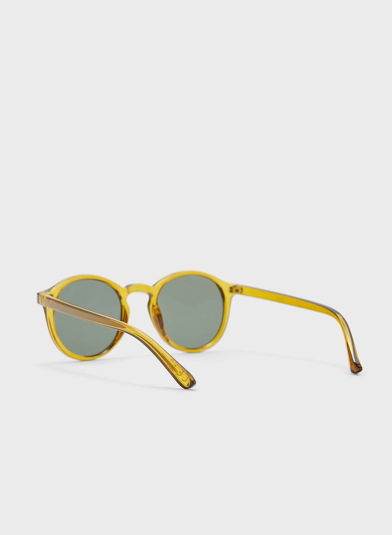 Polarised Sunglasses