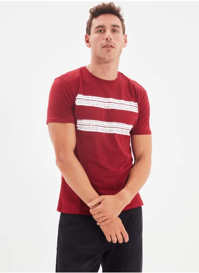 trendyol Stripe Panel Crew Neck T-Shirt
