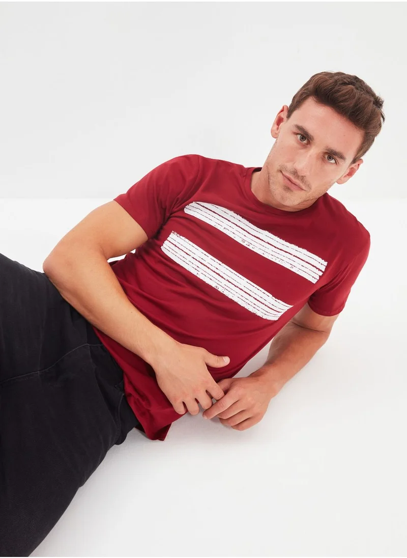 trendyol Stripe Panel Crew Neck T-Shirt