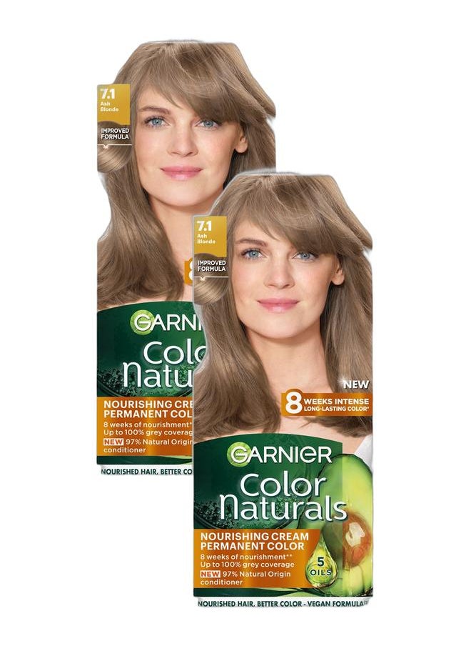 Garnier Garnier Color Naturals - Ash Blonde Combo  - Image 1