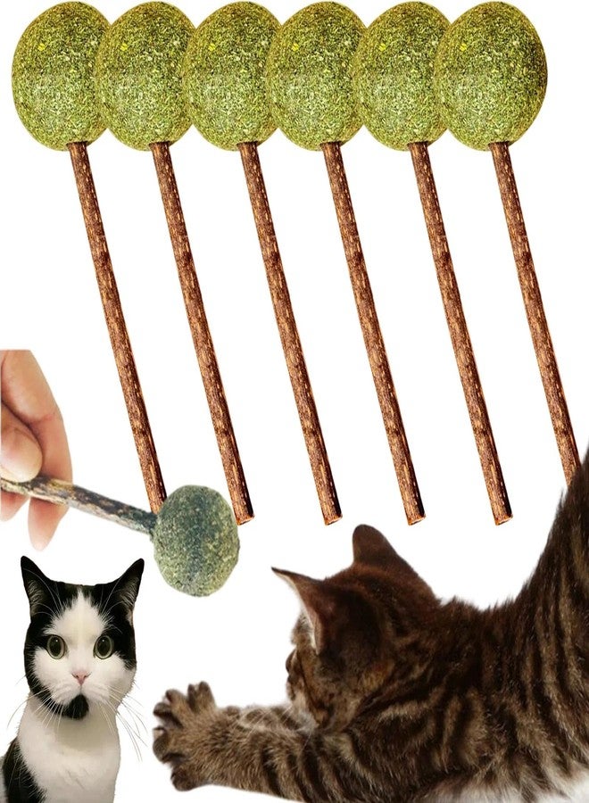 مصاصات النعناع البري والأعشاب الفضية من يوبيتي، كرات النعناع البري، أعواد الأعشاب الفضية للقطط، لعبة كرة النعناع البري للقطط المنزلية، لعبة تفاعلية للقطط (6 قطع) - Image 1