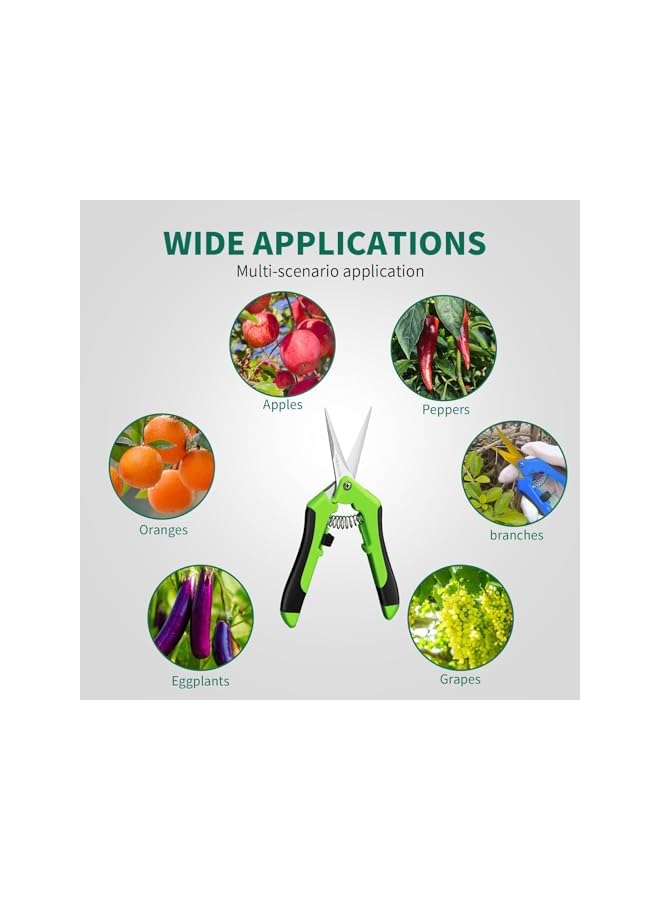 promass 1-Pack Pruning Shears, 6.5'' Gardening Hand Pruner, Professional Pruning Scissors with Straight Stainless Steel Precision Blades - Image 3