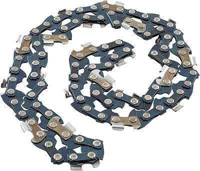 CRAFTSMAN Craftsman CRAFTSMAN Chainsaw Chain, Black, 10-Inch (CMZCSC10)  - Image 1