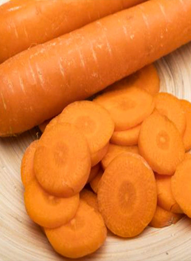 GGOOT 200Pcs Carrot Seeds Crispy Vegetarian Varieties of Ultra-Sweet Heirloom Vegetable Seeds Suitable for Home Gardening - Image 3