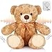 Liliful Plush Bear with Voice Recorder 12 Inch Stuffed Animal Insert Recordable Sound Module Soft Brown Bear Doll Toy Gift for Birthday Wedding Baby Shower Graduation Party DecorVivid Style - Image 2