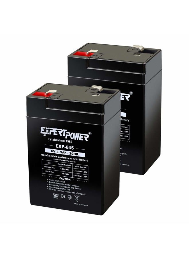 ExpertPower 6 Volt 4.5 Amp Rechargeable Battery (EXP645) 2 Pack - Image 1