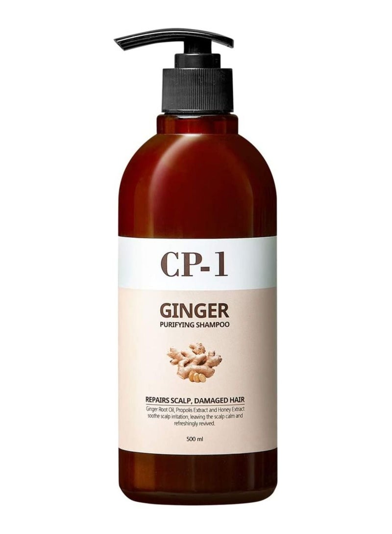 شامبو يستخدم لتقوية الشعر وحمايته من التساقط