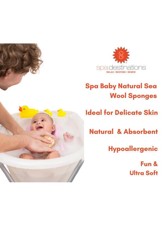 سبا ديستينايشنز إسفنجة استحمام طبيعية ماصة للأطفال من Spa Baby، من Spa Destinations. إسفنجة فائقة النعومة من صوف البحر الفاخر، قابلة للتحلل البيولوجي، إكسسوارات استحمام للأطفال والرضع. عبوتان (2) مقاس 3-4 بوصات للأمهات - Image 2