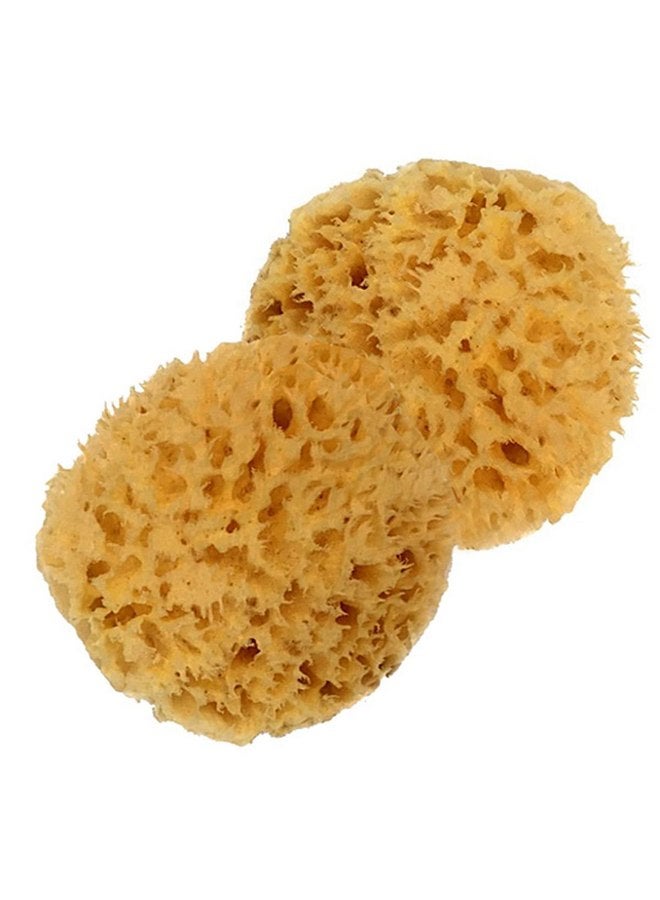 سبا ديستينايشنز إسفنجة استحمام طبيعية ماصة للأطفال من Spa Baby، من Spa Destinations. إسفنجة فائقة النعومة من صوف البحر الفاخر، قابلة للتحلل البيولوجي، إكسسوارات استحمام للأطفال والرضع. عبوتان (2) مقاس 3-4 بوصات للأمهات - Image 3