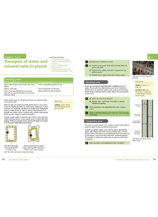 null - Lower Secondary Science Student???s Book: Stage 8 - Image 1