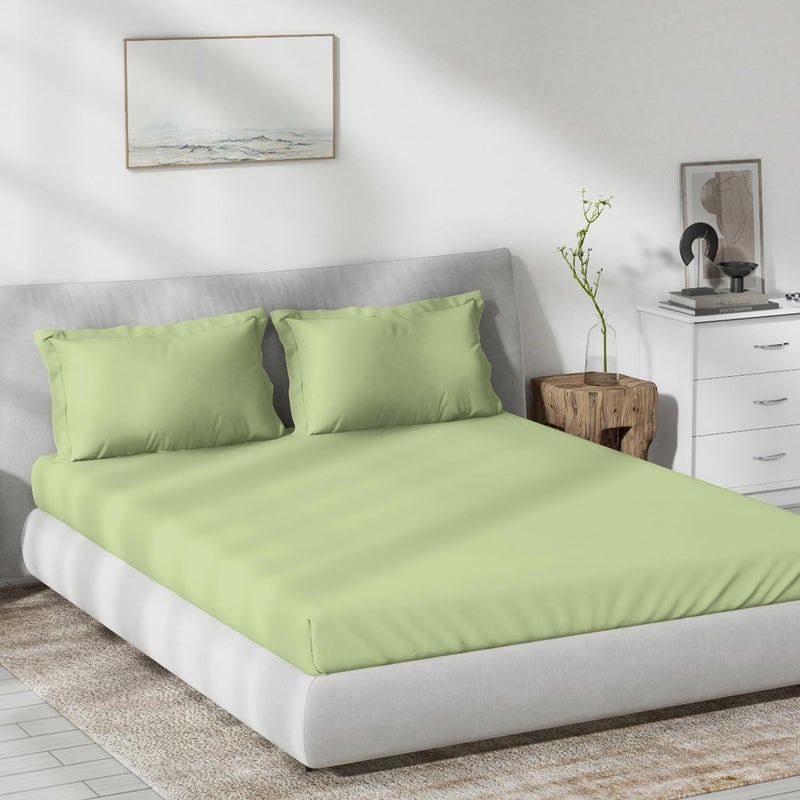 DDECOR Live beautiful DDECOR Pack of 1 Dyed Cotton Double Bedsheet with 2 Pillow Covers Green 