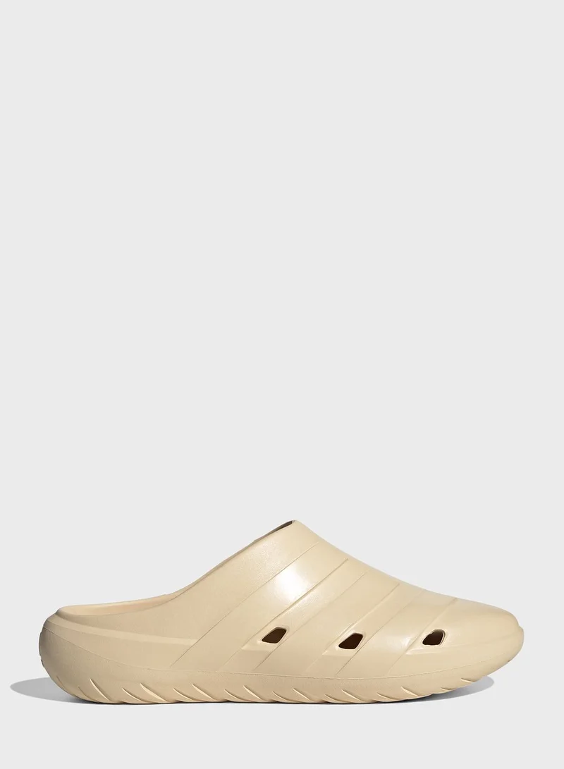 adidas حذاء أديكان