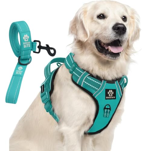 Doggo Bite Premium Reflective Dog Vest Harness| Soft Breathable| Padded Handle| Adjustable Straps & Dual Lock Buckle| No-Choke Design with Free Leash-22mm Chest (28-37inch) All Giant Breeds 35-60Kg - Image 1