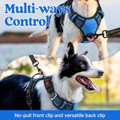 Doggo Bite Premium Reflective Dog Vest Harness| Soft Breathable| Padded Handle| Adjustable Straps & Dual Lock Buckle| No-Choke Design with Free Leash-22mm Chest (28-37inch) All Giant Breeds 35-60Kg - Image 4