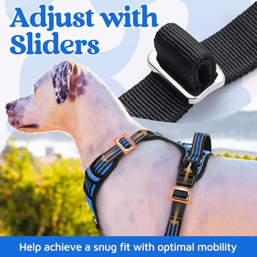 Doggo Bite Premium Reflective Dog Vest Harness| Soft Breathable| Padded Handle| Adjustable Straps & Dual Lock Buckle| No-Choke Design with Free Leash-22mm Chest (28-37inch) All Giant Breeds 35-60Kg - Image 5