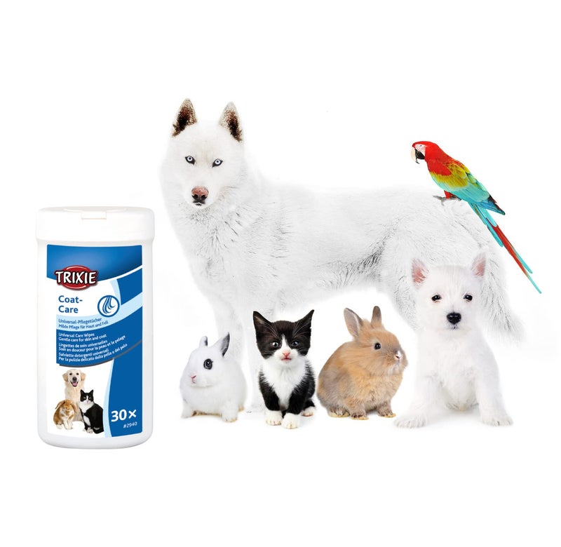 Trixie: - Universal Cosmetic Wipes | Skin and Coat Wipes for Dogs, Cats and Other Small Animals | Made with Valuable Plant Extracts for Deep Cleaning and Pleasant Smell - 30 Wipes Pack - Image 5