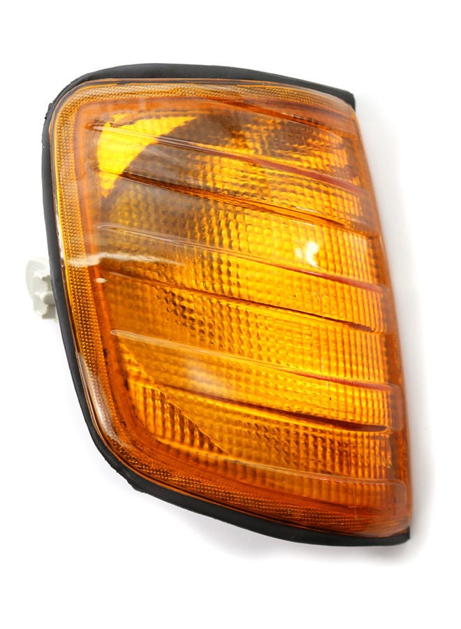 Loquat Right Corner Parking Lamp