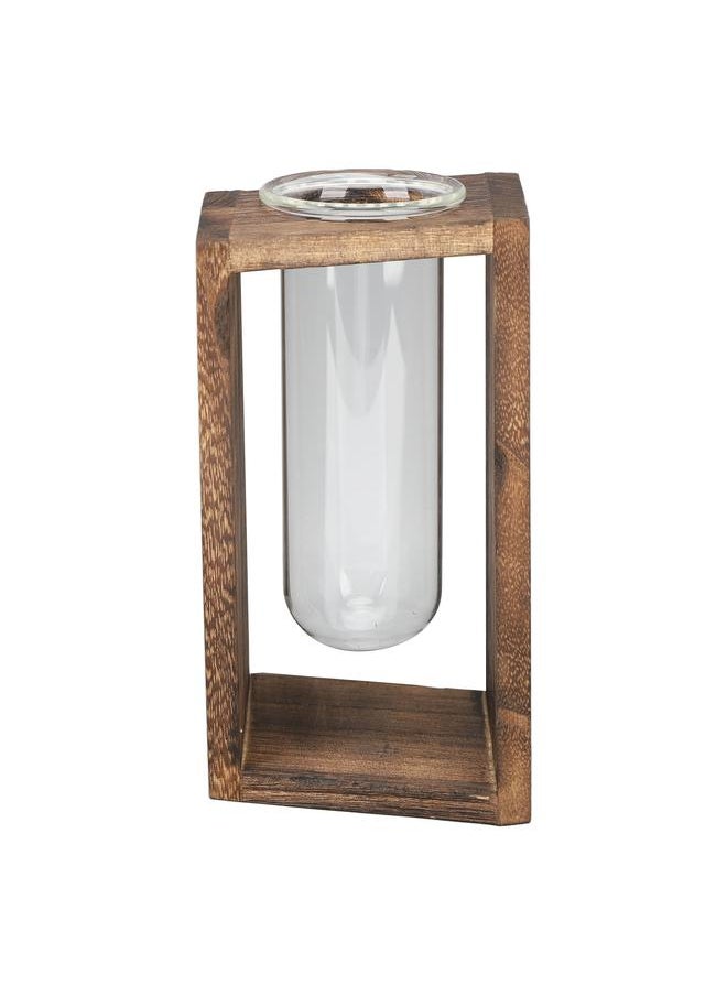 Thoraya - Glass Test Tube Plant Terrarium Multipurpose Innovative Hand Crafted Desktop Plant Terrarium for Hydroponic Plants Carbon Grill - Image 1