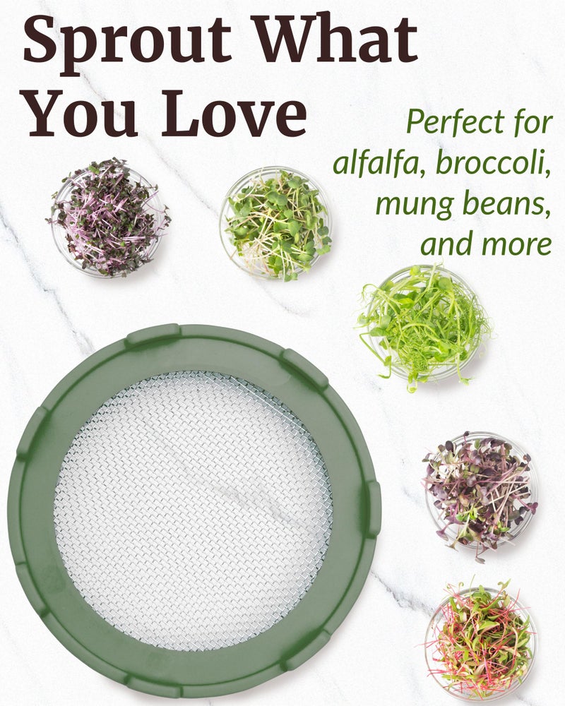 Elementi Sprouts Growing Kit for Wide Mouth Mason Jars, Set of 2 Sprouting Lids for Organic Alfalfa & Mung Bean Sprouts Grow Kit, 316 Stainless Steel Mesh Screen Strainer Lid (Sage Green) - Image 3