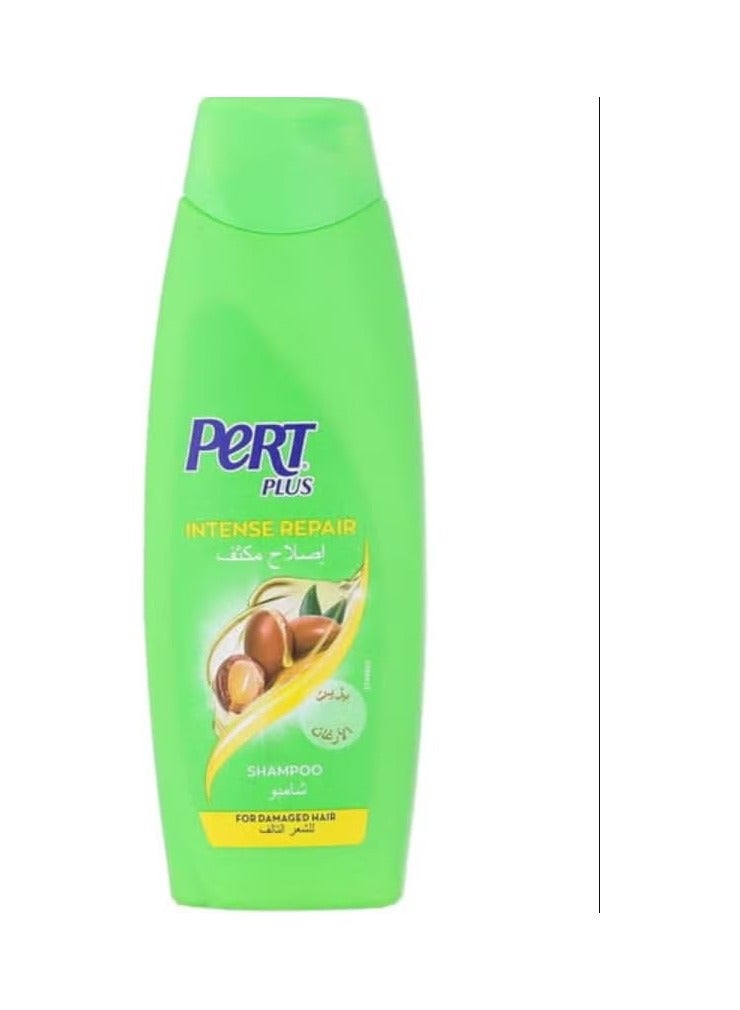 بيرت بلس شامبو للشعر التالف بزيت الارغان وزبدة الشيا 400 مل