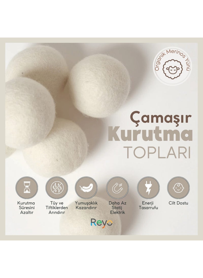 Laundry Wool Dryer Balls Natural Softener, Large 6 Pieces Wool Balls for Dryer with Cloth Bag - pzsku/Z102E6C606B36522EC296Z/45/_/1737260556/57d7f40a-8e32-4bc3-97df-7fc3e96efade