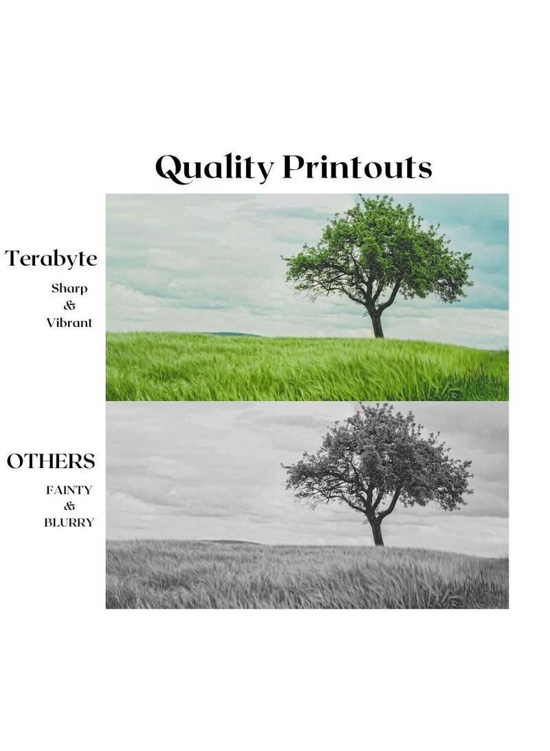 Terabyte 207A CYAN COMPATIBLE TONER - Image 4