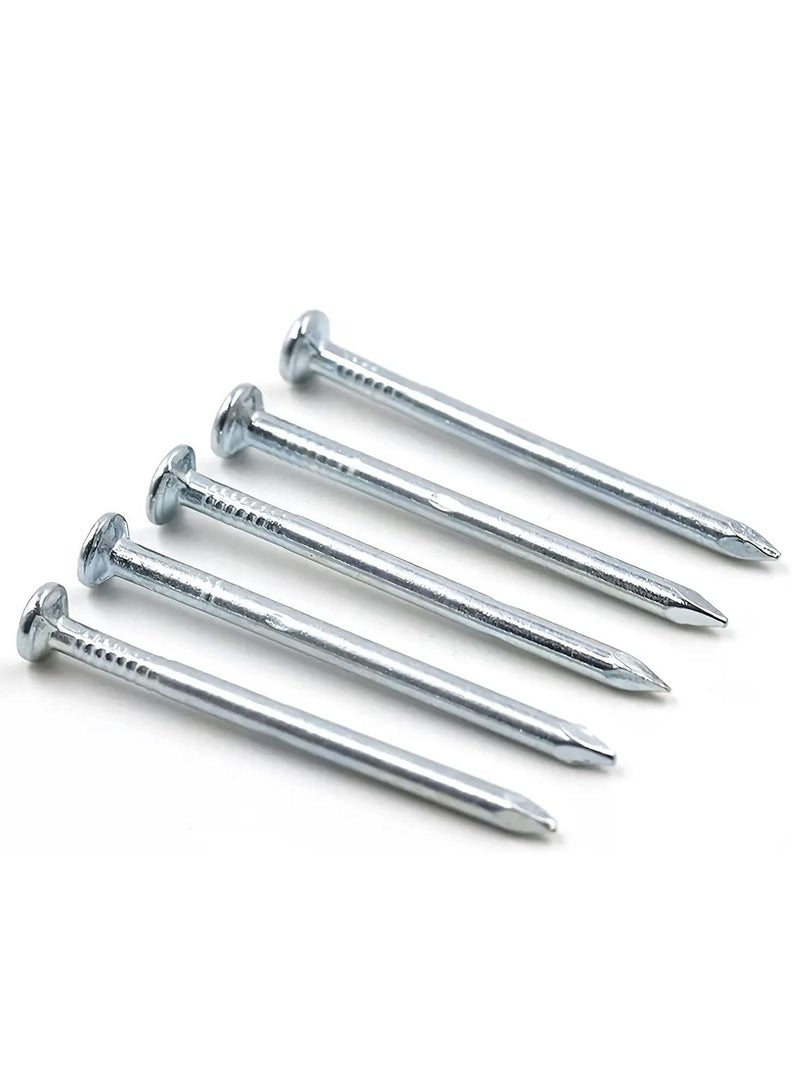 RACO Hardware Common Nails, 200pcs Anti-rust Steel Nails Galvanized Concrete Nails Heavy Duty Wall Cement Nail for Hanging Picture Wall Mounting Woodworking, 30mm, Silver - Image 1