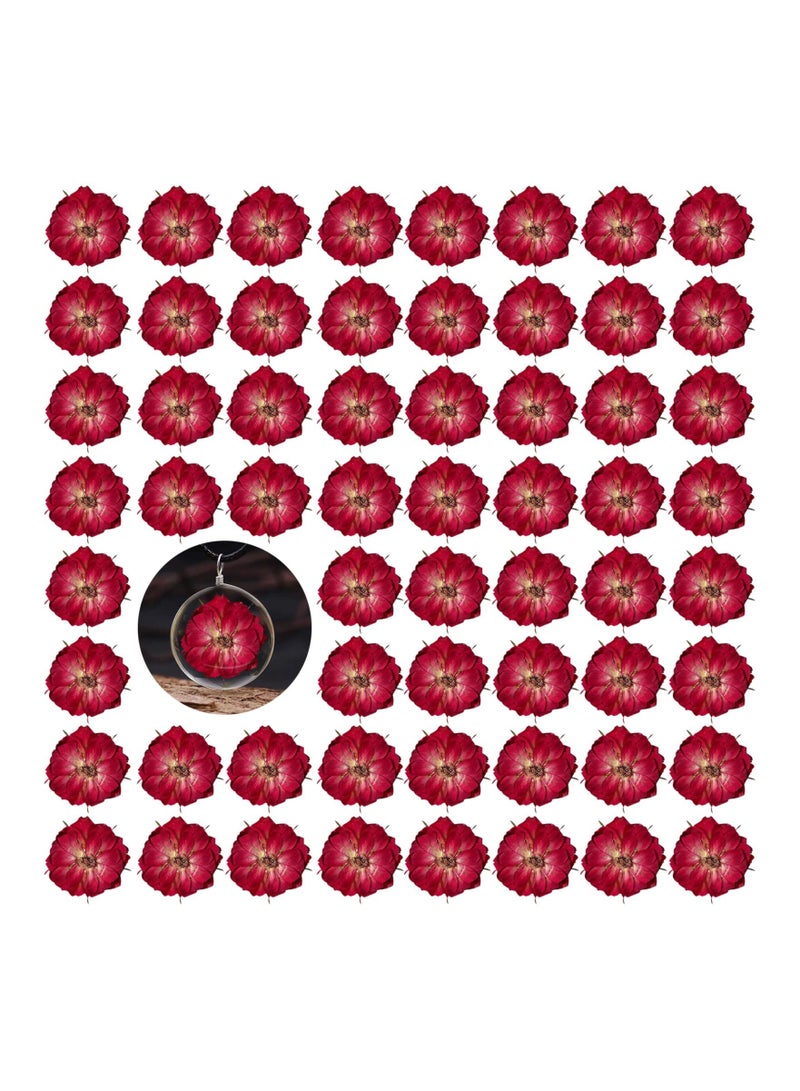 Dried Pressed Rose Flowers for Resin, 60 Pcs Natural Real Pressed Rose Flowers, Dry Flowers for Resin Crafts DIY Jewellery Ornament Candle Making Phone Case Home Decoration - Image 1