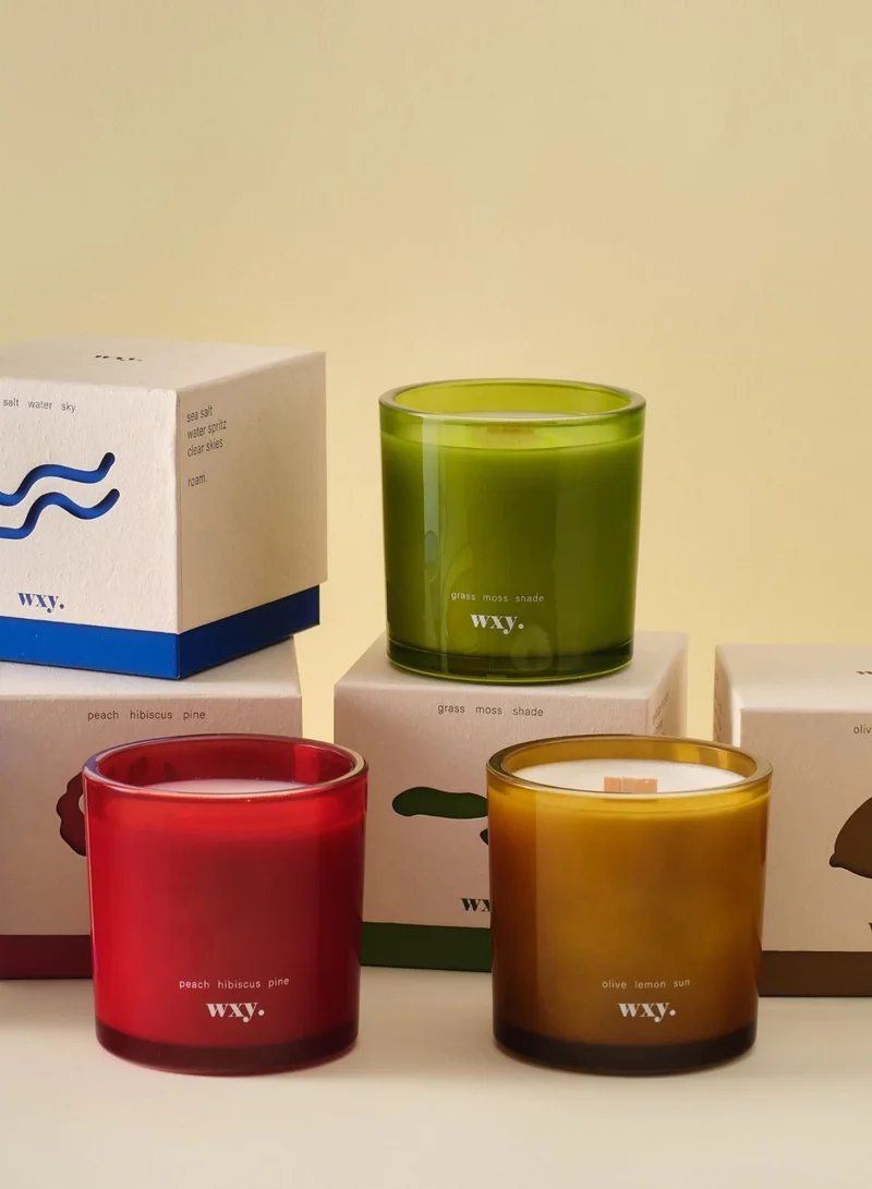 WXY Roam Mini Candle - Grass. Moss. Shade. - Amber &amp; Umbra Collection- Glass base -premium scented candle -