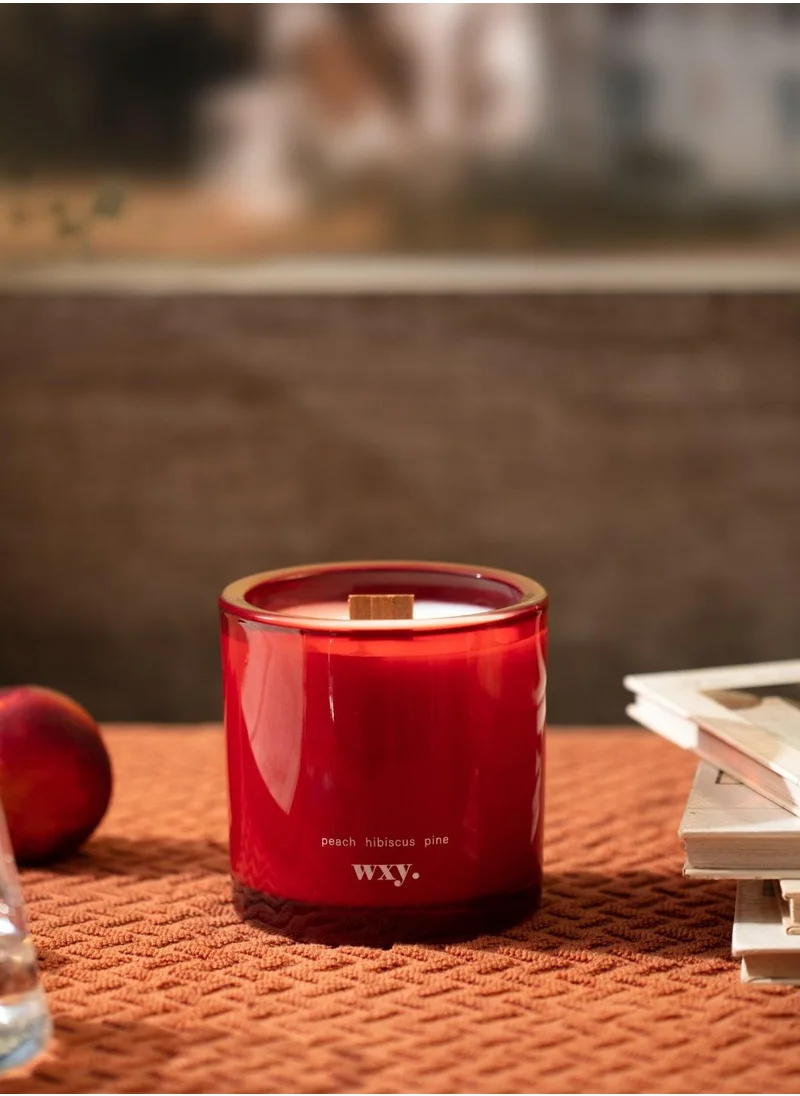 WXY Roam Mini Candle – Grass Moss Shade  Amber & Umbra Collection  Luxury Scented Candle in Glass Base – Perfect for Gifting