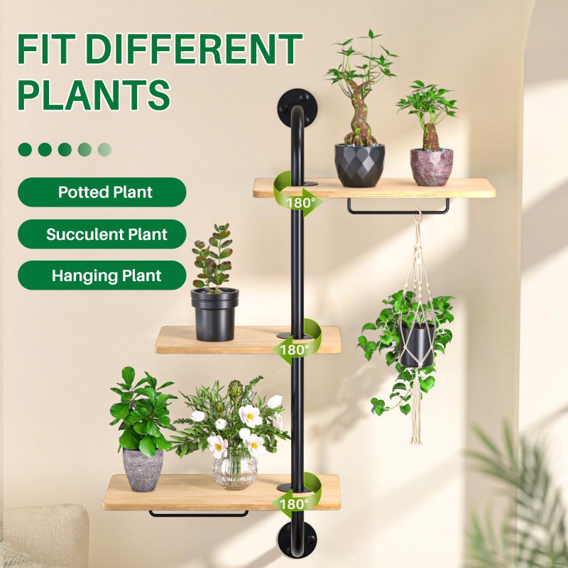 DELLAN Window Plant Shelves, Rotating Plant Shelf for Window, Wall Mounted Indoor Hanging Plants Shelf (3 Tier) - Image 2