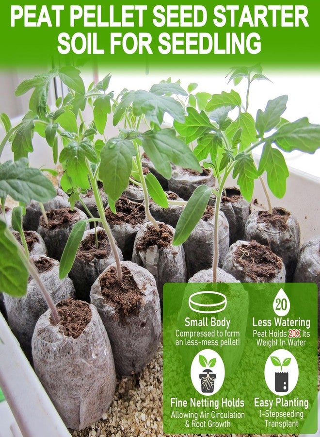 Legigo 100 Pcs 30mm Peat Pellets Soil - Image 3