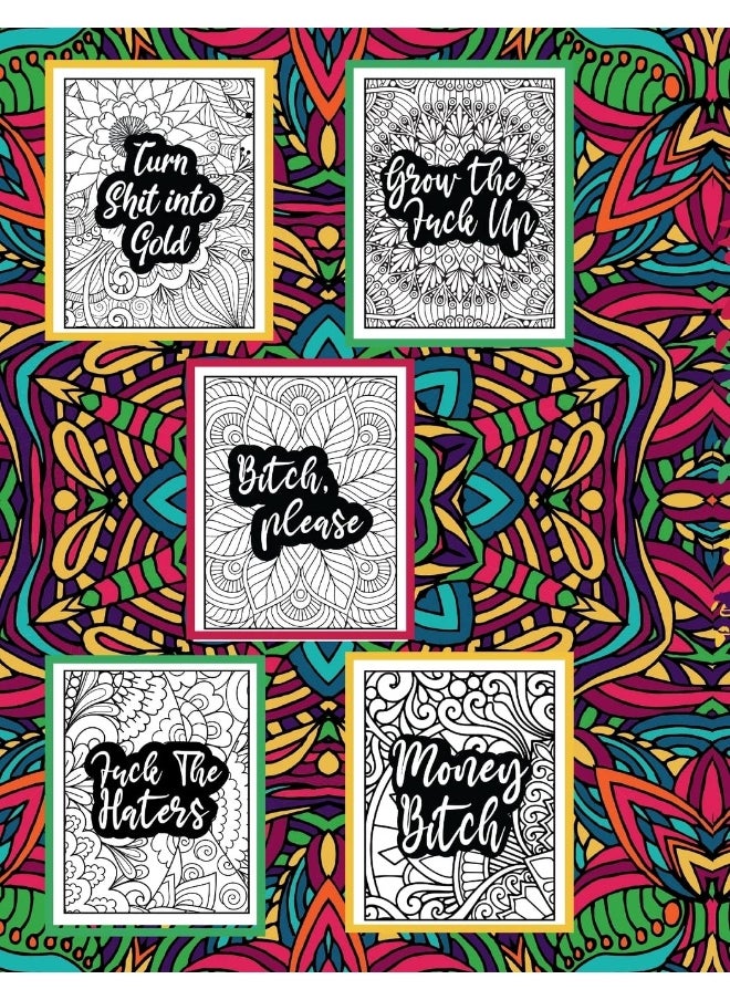 Adult Coloring Book, Stress Relief Swear Word Coloring Book Pages Big Pack (45 Pages)  - Image 2