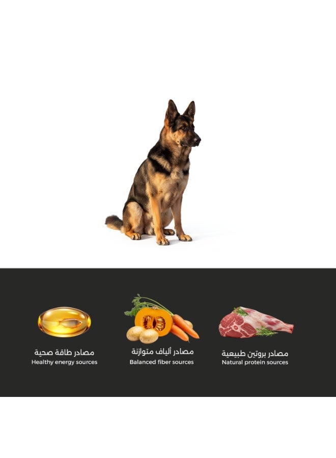 Kulaib Dry Dog Food for Adult Dogs, Rich in Protein from Chicken, with Vegetables & Vitamins, 15 kg - Image 3