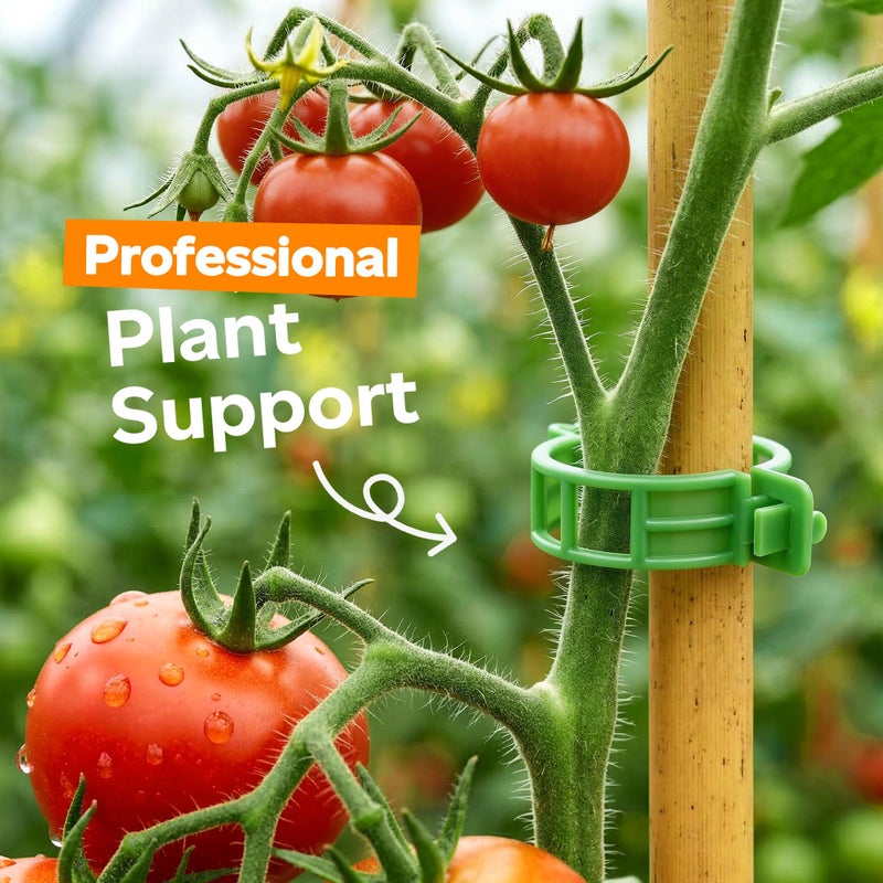 LOOHOI 100pcs Tomato Clips for Climbing plants, Plastic Trellis Plant Support Clips for Garden, Reusable Clips for Supporting Grape Tomato Vine and Vegetables Plants to Grow Upright Makes Plants Healthier - Image 2