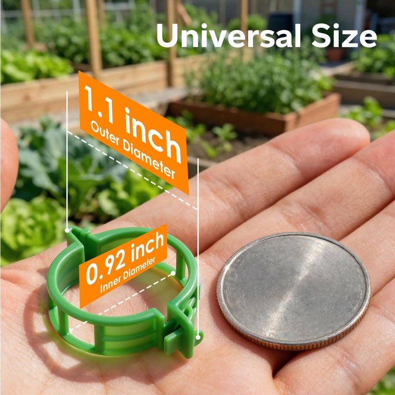 LOOHOI 100pcs Tomato Clips for Climbing plants, Plastic Trellis Plant Support Clips for Garden, Reusable Clips for Supporting Grape Tomato Vine and Vegetables Plants to Grow Upright Makes Plants Healthier - Image 3